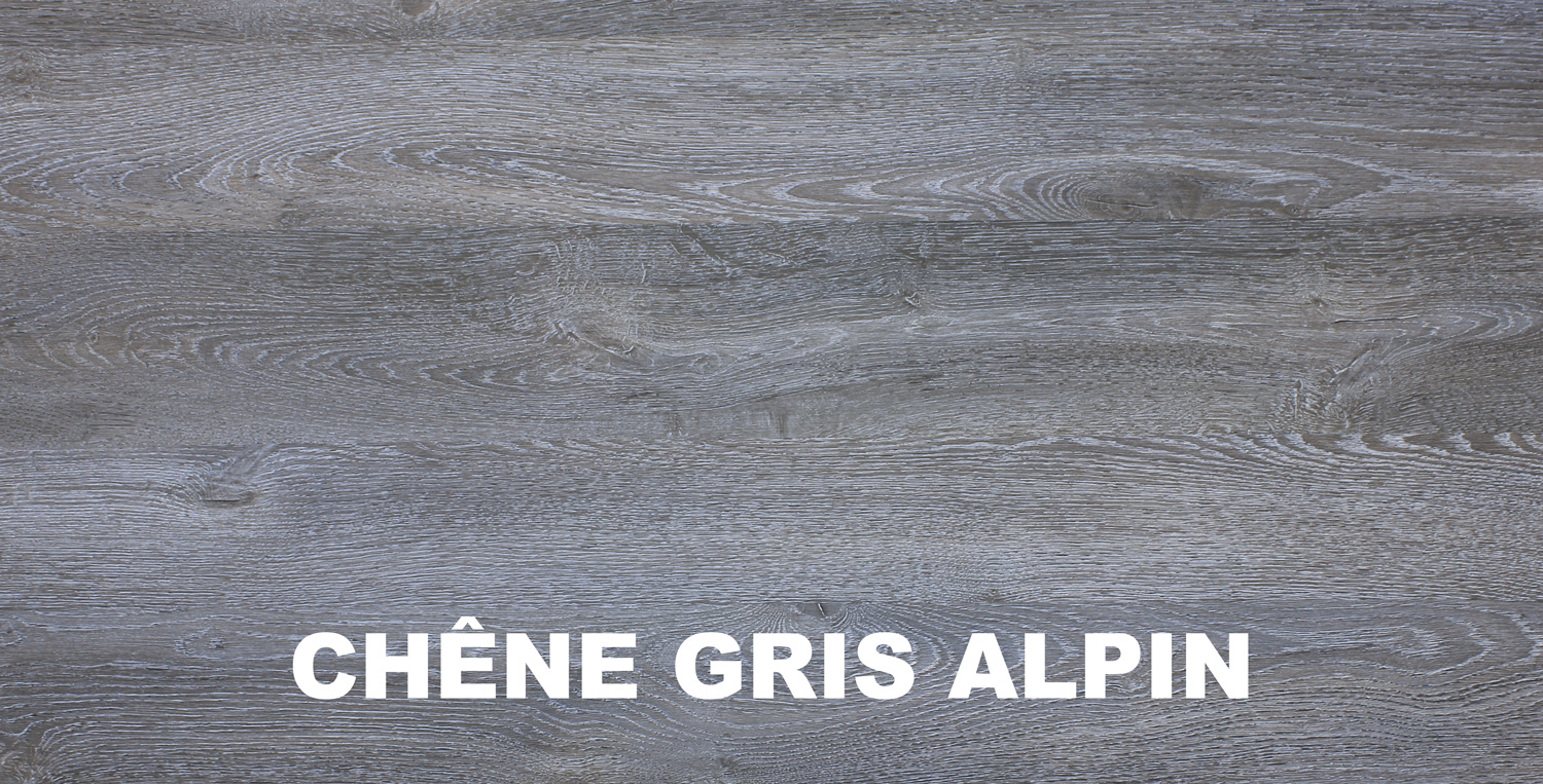 CHENE GRIS ALPIN